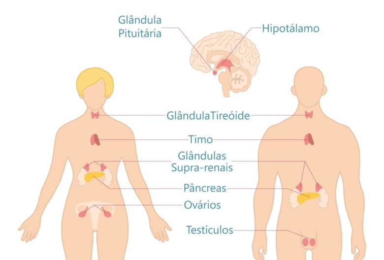 Soluciones para que no se suban los testiculos