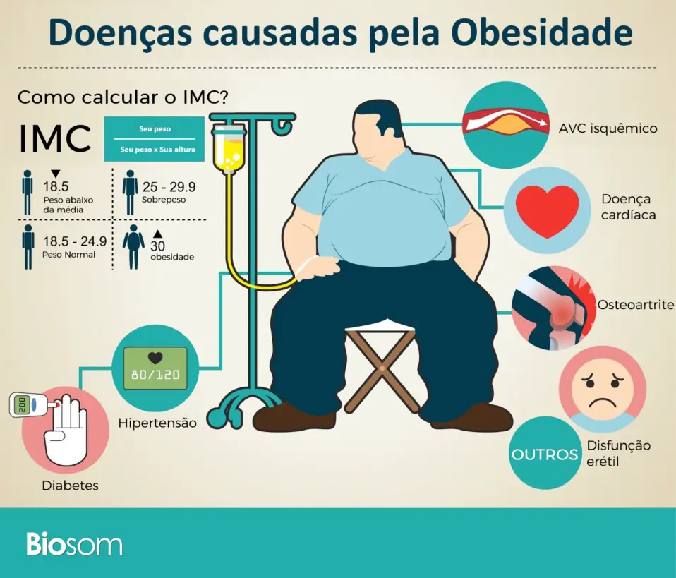 Curiosidades Sobre A Obesidade 