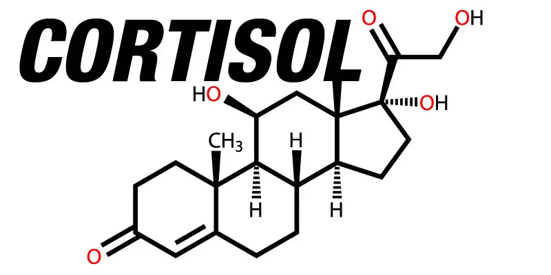 Ilustração Química do Cortisol 