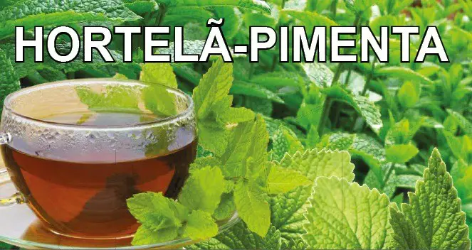 Chá de Hortelã- Pimenta
