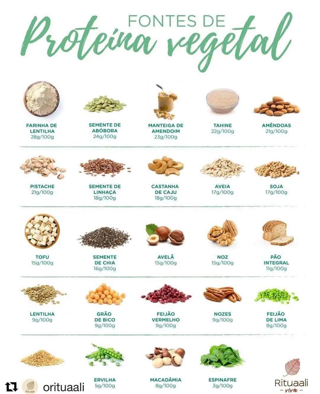 Proteínas de Fontes Vegetais