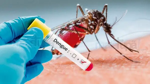 Exame de Dengue 
